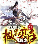 网游之极品高手封面