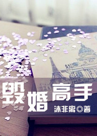 毁婚高手 毁婚高手