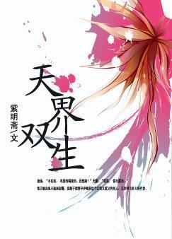 天界双生封面