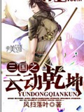 三国之云动乾坤封面