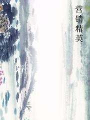 营销精英封面