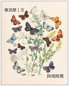 ���Ž���