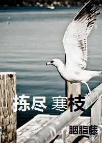 �𾡺�֦