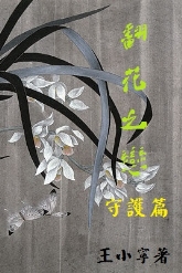 翻花之恋-守护篇封面