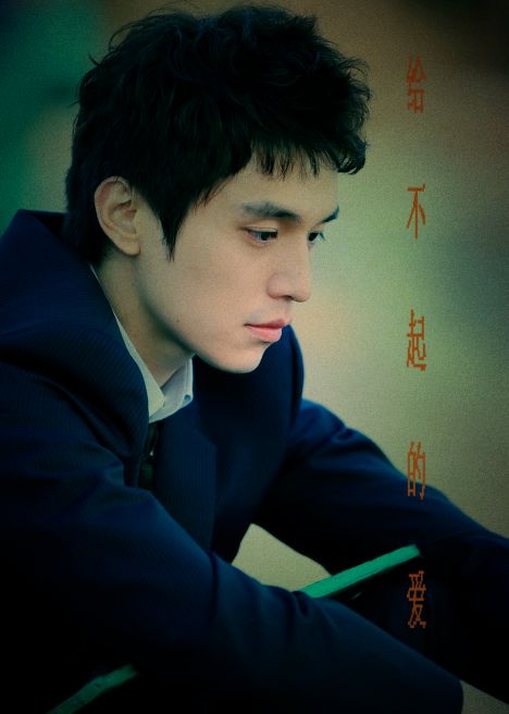 给不起的爱封面