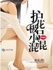 护花极品小混混封面