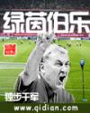 绿茵伯乐封面