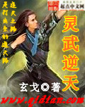 灵武逆天封面