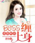 BOSS������:����,������