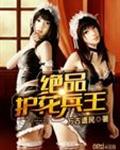 绝品逆天兵神封面