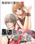 黑道恶少爱上我封面
