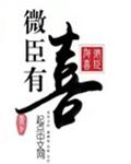 微臣有喜封面