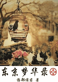 东京梦华录 东京梦华录